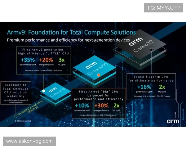 全面介绍K8网站入口的常见问题与解决方案，提升您的游戏体验效率