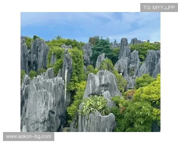 凯时在线账号注册流程详解:新手玩家快速入门的完整指南 凯时在线账号注册流程详解:新手玩家快速入门的完整指南